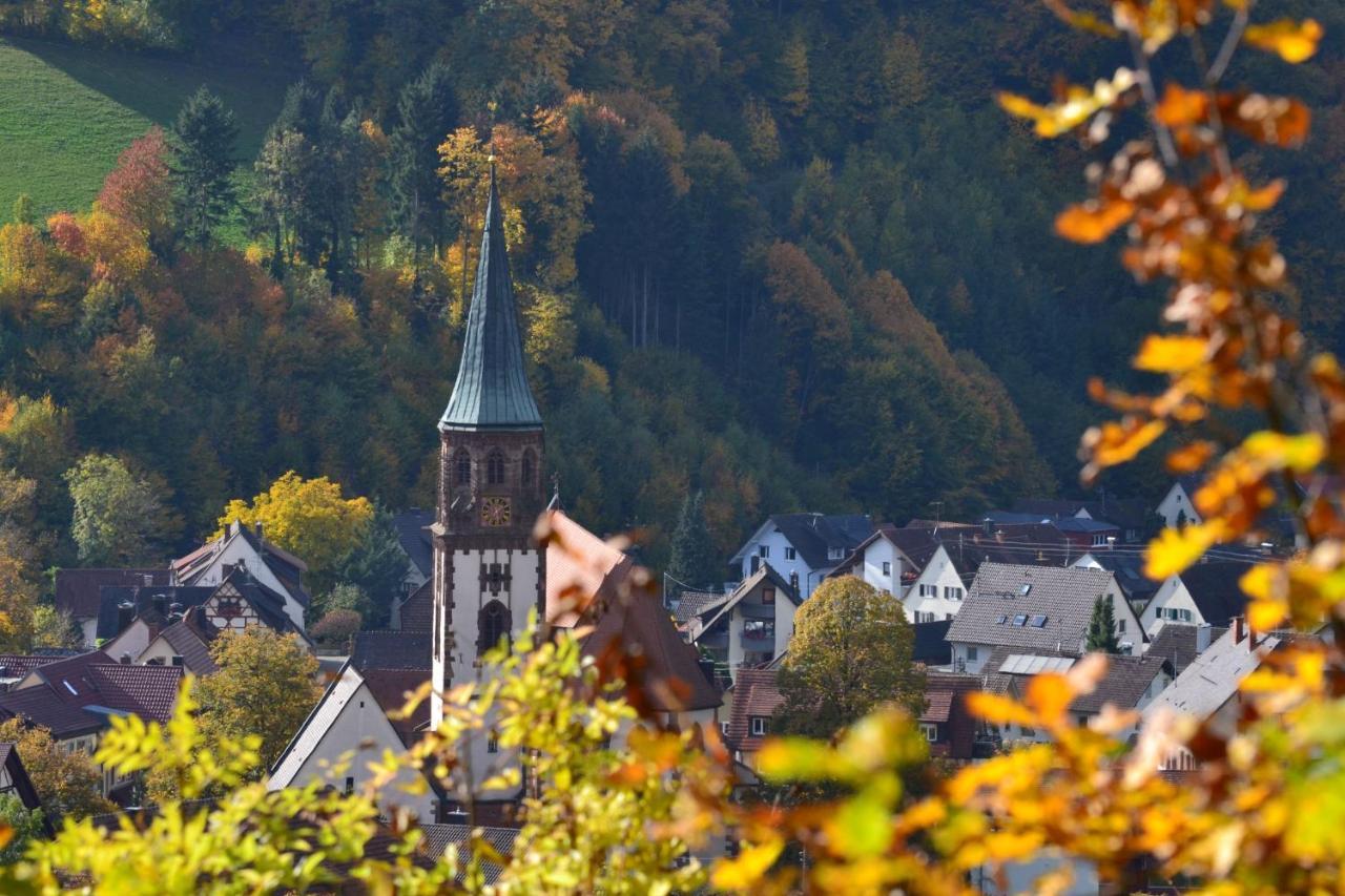 Haus Reichenbach Apartment Glottertal Luaran gambar